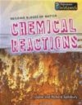 Chemical Reactions Louise Spilsbury, Richard Spilsbury