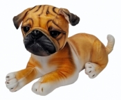 Pies mops
