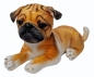 Pies mops