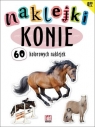 Konie. 60 kolorowych naklejek