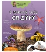 Wojciech Gil o darach lasu Grzyby Wojciech Gil