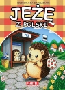  Jeże z Polski z naklejkami