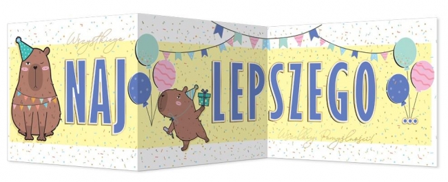 <img src='https://webimage.pl/pics/290/0/d5908451980290.jpg'>