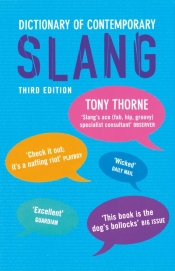 Dictionary of Contemporary. Slang Słownik współczesnego slangu