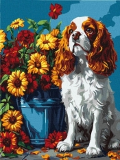 Malowanie po numerach - Spaniel i kwiaty 30x40cm