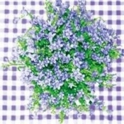 Serwetka BUNCH OF VIOLETS
