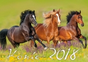 Kalendarz 2018 Konie KA 2