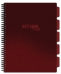 Kołozeszyt Strigo Pads Project Book A4 kratka Basic - Czerwony