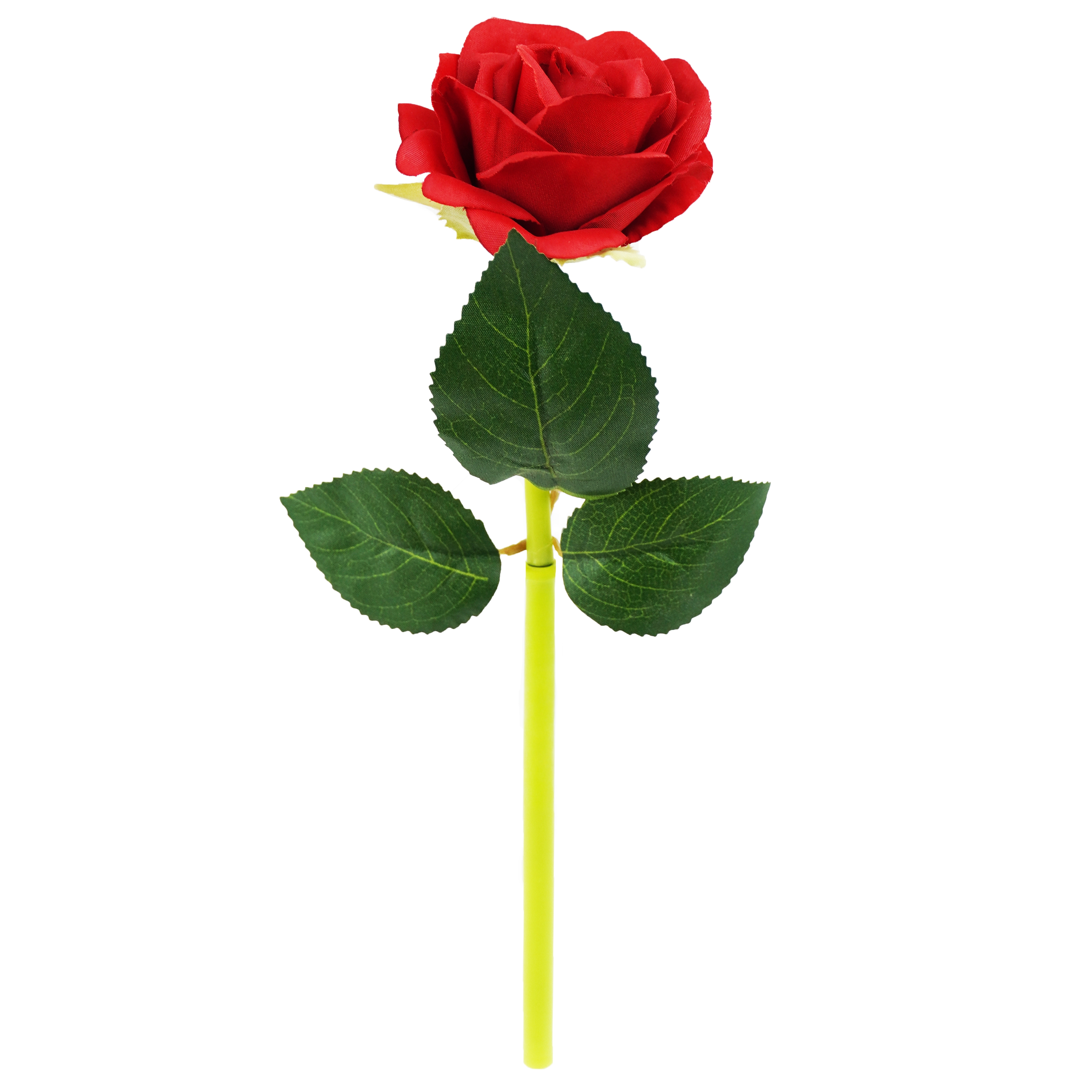 <img src='https://webimage.pl/pics/291/3/d5907354203291.jpg'>