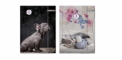 Teczka z gumką A4 The sweet pets 2 wzory