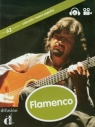 Flamenco + DVD Nivel A2