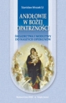 Aniołowie bożej opatrzności Świadectwa i modlitwy do naszych Stanisław Mrozek