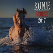 Kalendarz 2017 KD-22 ścienny duży Konie