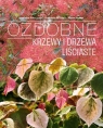 Ozdobne Krzewy i drzewa Liściaste Bronisław Artur Szmit, Maciej Mynett, Bronisław Jan Szmit