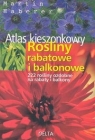 Rośliny rabatowe i balkonowe atlas kieszonkowy  Haberer Martin