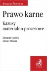 Prawo karne Kazusy materialno-procesowe Zuzanna Gądzik, Adrian Zbiciak