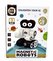 Robot magnetyczny