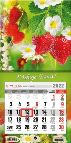 Kalendarz 2022 jednodzielny mini z mag. Truskawki