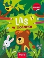 W kolorze. Las - Opracowanie zbiorowe