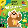 Otwórz okienko! W dżungli. Książeczka pop-up Anna Podgórska