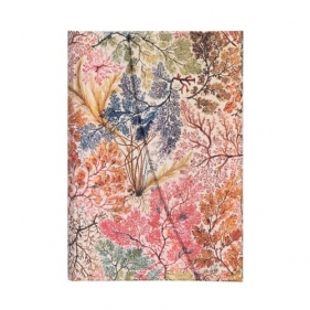Notes Anemone Mini Linia