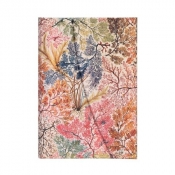 Notes Anemone Mini Linia