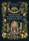 Przewodnik po słowiańskich miejscach mocy