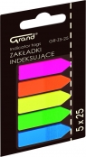 Zakładki indeksujące Grand Flagi GR-Z5-25 12 sztuk (150-1417)