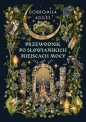 Przewodnik po słowiańskich miejscach mocy - Dobromiła Agiles