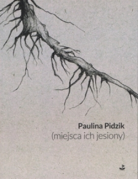 (miejsca ich jesiony) - Paulina Pidzik