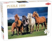 Puzzle 1000: Camargue horses (53929)
