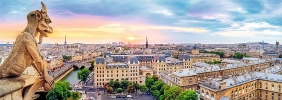 Puzzle Panorama 1000: Widok z katedry Notre-Dame (29029)