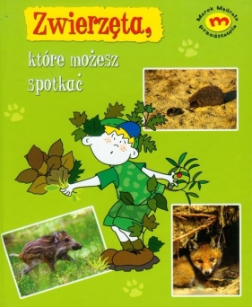 Zwierzęta, które możesz spotkac - Teer Me