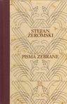 Stefan Żeromski Dzienniki Tom 1 1882-1883