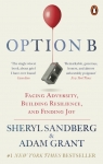 Option B Facing Adversity, Building Resilience, and Finding Joy Sandberg Sheryl, Grant Adam