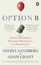 Option B - Sandberg Sheryl, Grant Adam