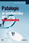Patologie w środowisku pracy Zapobieganie i leczenie Kozak Stanisław