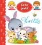Co to jest? Króliki - Federica Iossa, Émilie Beaumont, Nathalie Bélineau
