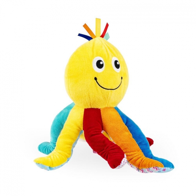 <img src='https://webimage.pl/pics/296/8/d5905692308296.jpg' style='height:440px' /> Wędrująca ośmiornica