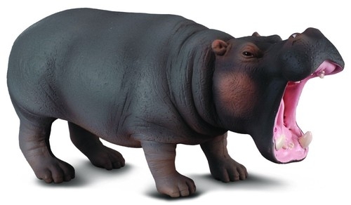 Hipopotam (004-88029)