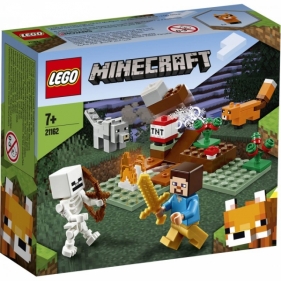 Lego Minecraft: Przygoda w tajdze (21162)