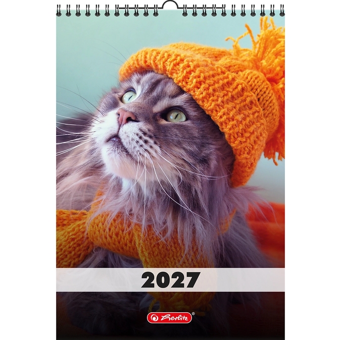 <img src='https://webimage.pl/pics/298/0/d5904017470298-2.png'>