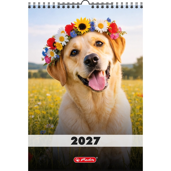 <img src='https://webimage.pl/pics/298/0/d5904017470298.png'>