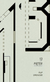 13 pięter - Springer Filip