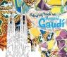 Coloring Book: Antoni Gaudi