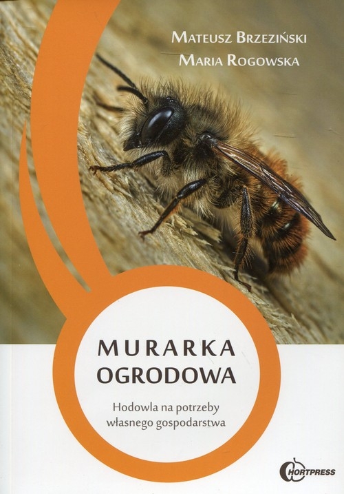 Murarka ogrodowa