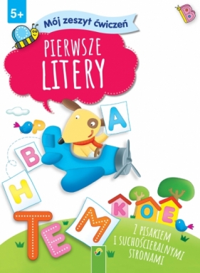 Mój zeszyt ćwiczeń. Pierwsze litery - Opracowanie zbiorowe