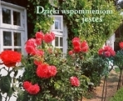 Dzięki wspomnieniom - jesteś. Perełka 56