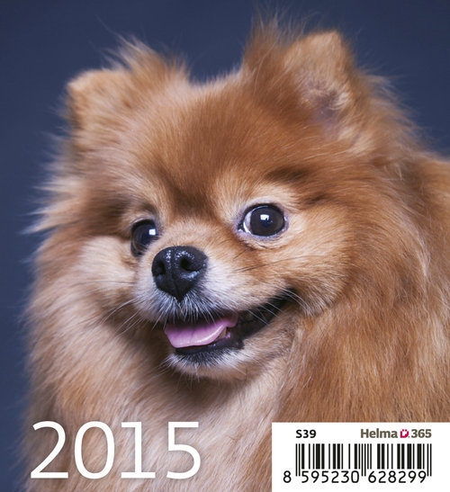 Kalendarz 2015 Szczeniaki Mini Helma