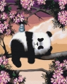 Obraz Paint it! Malowanie po numerach. Śpiąca panda (BS25499)od 6 lat